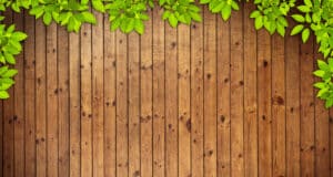 Tipos de tarima de exterior, tropical, pino y sintéticas o tecnológicas Tarima exterior de madera- jardín