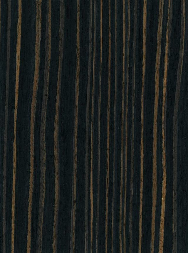 Madera de ébano, características, tipos y usos Textura de la madera del ébano
