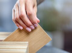Roble o pino, qué madera conviene para cada uso en casa Mano eligiendo una muestra de madera en un muestrario de especies